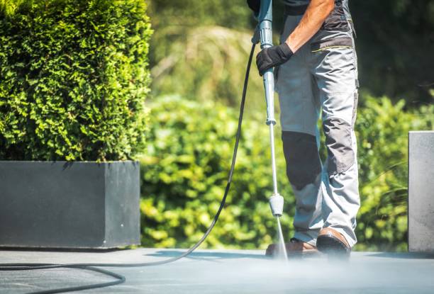 Best Building Exterior Washing  in Cedar Ridge, CA