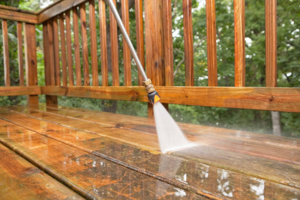 Best Solar Panel Cleaning  in Cedar Ridge, CA